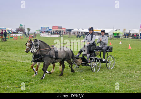 Thame, Oxon, Großbritannien, 20. April 2013. Die Thame Country Fair.  Konkurrenten im Wettbewerb in den offenen huschen und Prüfungen Meisterschaft fahren Stockfoto