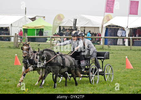 Thame, Oxon, Großbritannien, 20. April 2013. Die Thame Country Fair.  Konkurrenten im Wettbewerb in den offenen huschen und Prüfungen Meisterschaft fahren Stockfoto