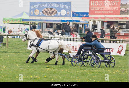 Thame, Oxon, Großbritannien, 20. April 2013. Die Thame Country Fair.  Konkurrenten im Wettbewerb in den offenen huschen und Prüfungen Meisterschaft fahren Stockfoto