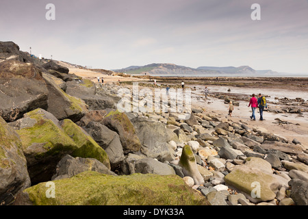 Fossilen Jäger am Strand von Lyme Regis, Dorset. Die Jurassic Coast, berühmt für seine Fülle von fossilen Funde Stockfoto