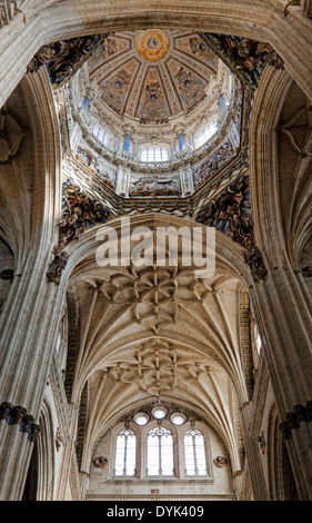 Blick nach oben in die hoch dekorierten Kuppel der neuen Kathedrale, Salamanca, Castilla y León, Spanien. Stockfoto