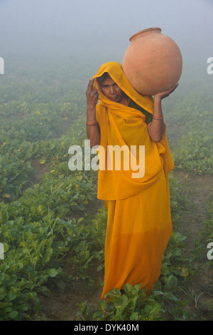 Frau im Sari Wasserholen an einem nebligen Morgen in Indien Stockfoto
