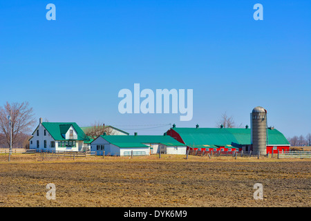 Ontario, Kanada, St. Jacobs Dorf, Farm in mennonitischen Land Stockfoto