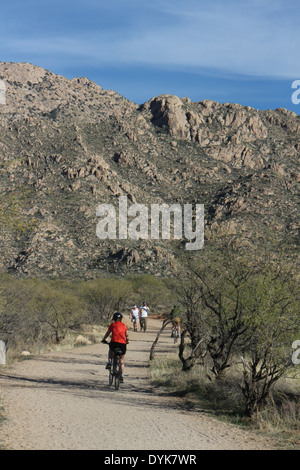 Wanderer-Biker in Arizona-Sonora-Wüste waschen Stockfoto