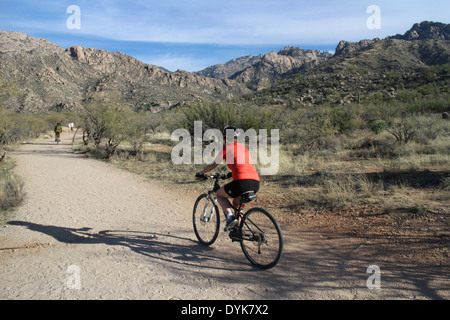 Wanderer-Biker in Arizona-Sonora-Wüste waschen Stockfoto