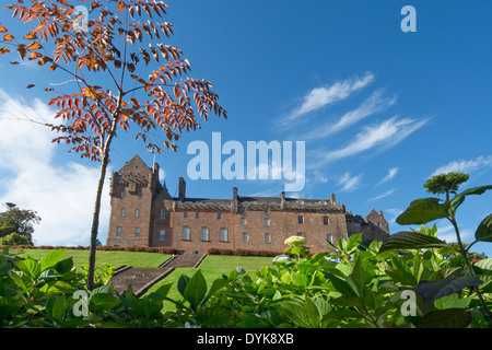 Rhus Schumack Brodick Castle Gardens arran Stockfoto