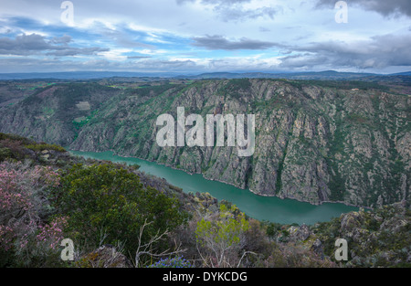 Canyon de Rio Sil in Galicien, Spanien Stockfoto