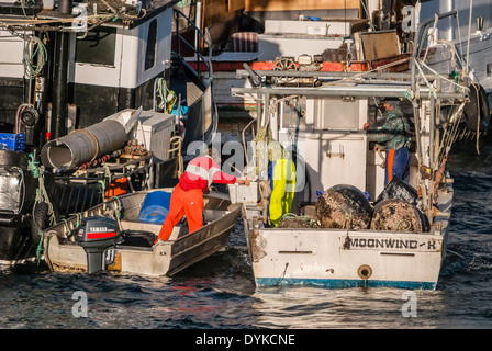 Fischer entladen den Fang von einem kleinen Fischerboot im Hafen von Eden, New-South.Wales, Australien. Stockfoto