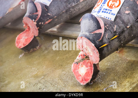 TOKYO, JAPAN - Oktober 25: Thunfisch für Auktion im Tsukiji-Fischmarkt am 25. Oktober 2013 in Tokio. Fischmarkt von Tokio ist der größte Stockfoto