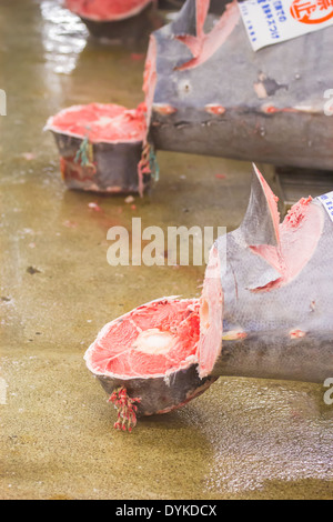 TOKYO, JAPAN - Oktober 25: Thunfisch für Auktion im Tsukiji-Fischmarkt am 25. Oktober 2013 in Tokio. Fischmarkt von Tokio ist der größte Stockfoto