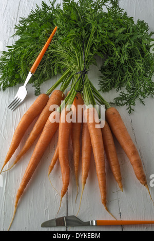 Ein paar Karotten auf einem weißen Tisch mit Messer und Gabel angezeigt. Eine beliebte Wurzel Gemüse voller Vitamin a. Stockfoto