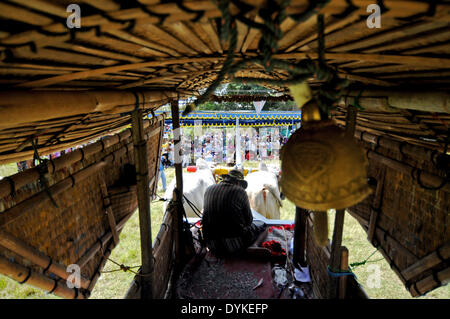 Yogyakarta, Indonesien. 21. April 2014. Ein Teilnehmer reitet seine Ochsenkarren während eines Ochsen-Kartrennen in Sleman, Yogyakarta, Indonesien, 21. April 2014. Die Ochsen Wagen Rennveranstaltung fand weiterhin Ochsenkarren als eine traditionelle Art der Fortbewegung sowie um Touristen anzuziehen. Bildnachweis: Oka Hamied/Xinhua/Alamy Live-Nachrichten Stockfoto