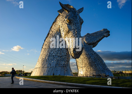 Die Kelpies, ein 300 Tonnen, 30 Meter hohen Roß Kopf Skulptur des Künstlers Andy Scott. Die Helix Park, Falkirk, Schottland, UK Stockfoto