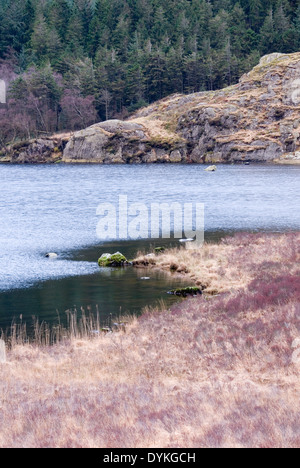 Llynnau Mymbyr Seen und Farben in die Moorlandschaft, Capel Curig, Conwy, Snowdonia, Wales, UK Stockfoto