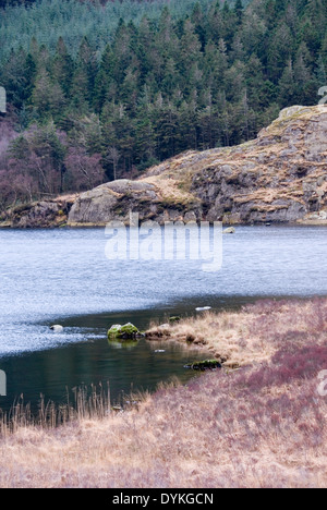 Llynnau Mymbyr Seen und Farben in die Moorlandschaft, Capel Curig, Conwy, Snowdonia, Wales, UK Stockfoto