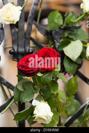 London, UK. 21. April 2014. Besucher zahlen Tribut zu William Shakespeare, englischer Dichter, Dramatiker und Schauspieler verlassen eine Rose vor den Toren des Globe Theatre während der Feierlichkeiten von Shakespeares 450. Geburtstag London, UK am Montag, 21. April 2014 Credit: Cecilia Colussi/Alamy Live News Stockfoto