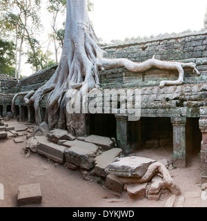 TA Reap Prohm Tempel (Rajavihara), Angkor, Siem, Kambodscha Stockfoto