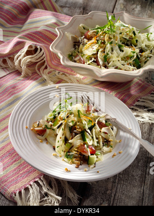 Wildreis und Fenchel-Salat Stockfoto