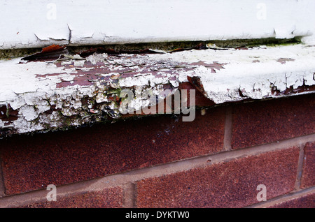 Alte Risse & Peeling weißen Lackierung auf der Fensterbank, UK PROPERTY veröffentlicht Stockfoto