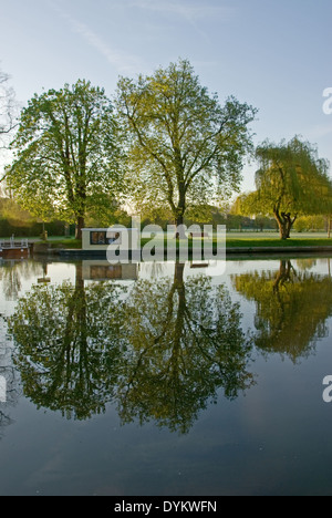 Bäume am Ufer des Flusses Avon spiegeln sich im Wasser noch morgen. Stockfoto