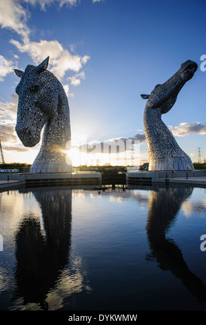 Die Kelpies, ein 300 Tonnen, 30 Meter hohen Roß Kopf Skulptur des Künstlers Andy Scott. Die Helix Park, Falkirk, Schottland, UK Stockfoto