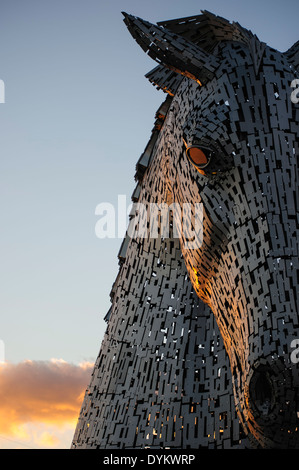 Die Kelpies, ein 300 Tonnen, 30 Meter hohen Roß Kopf Skulptur des Künstlers Andy Scott. Die Helix Park, Falkirk, Schottland, UK Stockfoto