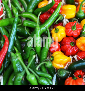 Mehrfarbige Sorten von Paprika liegen an einem Gemüse Stand. Stockfoto