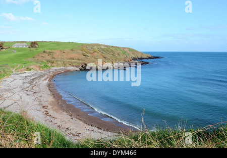 der Strand in der Nähe von Trabolgan auf der Süd-West Küste von Irland, Großbritannien Stockfoto