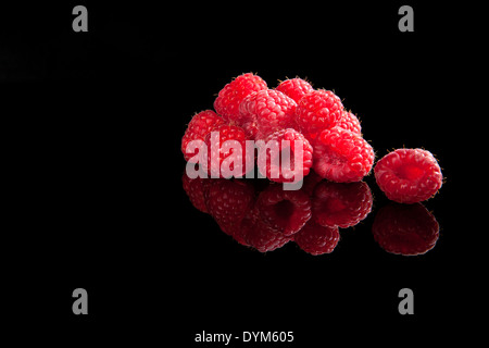 Leckere reife Himbeeren auf Reflexion auf schwarzem Hintergrund isoliert. Luxuriöse Obst Sommer Hintergrund. Stockfoto