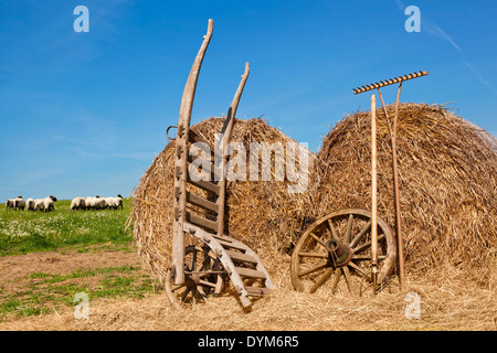 Heuballen mit hölzernen Rechen, Vintage Schubkarre, Schafe im Hintergrund an sonnigen Sommertag. Bio-Bauernhof. Stockfoto