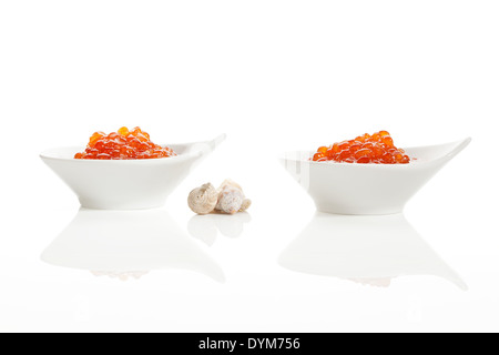 Köstliche Genussmittel. Rot-Lachs-Kaviar in weißen Schalen dekoriert mit Muscheln isoliert auf weißem Hintergrund. Luxus-Meeresfrüchte Stockfoto