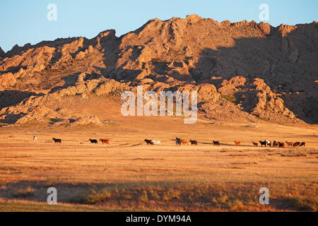 Ziegenherde vor der felsigen Baga Gazaryn Chuluu Strecke, Dundgobi Aimag, Middle Gobi, Mongolei Stockfoto