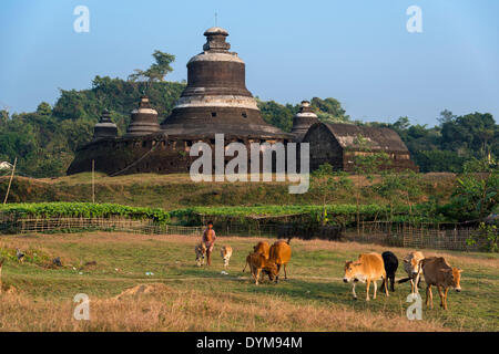 Hirtenjunge mit Rindern vor Htukkanthein, Dukkanthein oder Htoekanthein Tempel, Mrauk U, Sittwe Division, Rakhine State Stockfoto