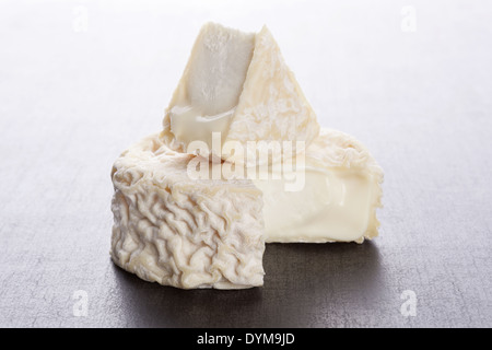 Köstlichen Ziegenkäse auf dunklen grauen Hintergrund. Kulinarischen Käse essen. Stockfoto