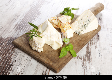 Leckere rustikale Käse Stillleben. Verschiedene Käsesorten mit frischen Kräutern auf alten Holzbrett auf weißem Holz wieder sortiert Stockfoto