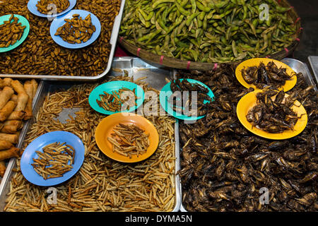 Seidenraupen und frittierte Grillen, thailändische Spezialitäten auf dem Nachtmarkt in Walking Street, Chiang Rai, Chiang Rai Provinz vom Grill Stockfoto