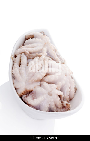 Kulinarischen Meeresfrüchte Hintergrund. Roher Tintenfisch in weiße Schüssel isoliert auf weißem Hintergrund. Stockfoto