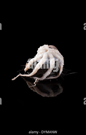 Luxuriöse Meeresfrüchte Pasta. Oktopus auf schwarzen Tintenfisch Spaghetti auf schwarzem Hintergrund. Kulinarisches Essen. Stockfoto