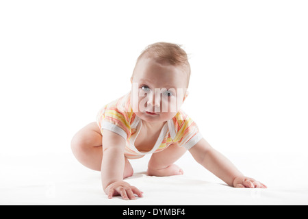 Nahaufnahme eines niedlichen Mädchens kriechen isolierten auf weißen Hintergrund. Schöne Baby, Familien-Konzept. Stockfoto