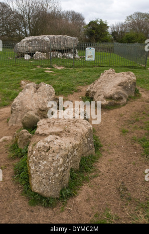 Neolithische Grabkammer am Lligwy in der Nähe von Moelfre auf Anglesey North Wales UK Stockfoto