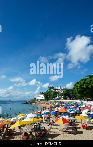 Strand Porto da Barra Salvador Bahia Brasilien Sommernachmittag mit leuchtend bunten Sonnenschirmen Stockfoto