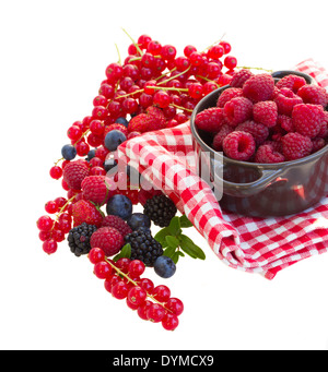 Rasberry und andere Beeren reif Stockfoto