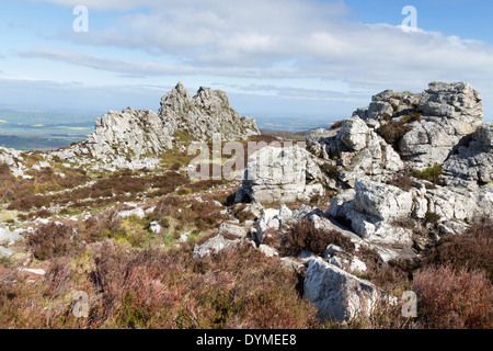 Die Stiperstones in Shropshire, die Formen einer felsigen Wirbelsäule entlang einer Kante und ist bei Wanderern sehr beliebt Stockfoto