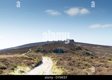 Die Stiperstones in Shropshire, die Formen einer felsigen Wirbelsäule entlang einer Kante und ist bei Wanderern sehr beliebt Stockfoto