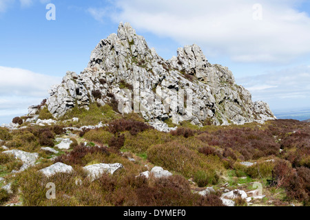 Die Stiperstones in Shropshire, die Formen einer felsigen Wirbelsäule entlang einer Kante und ist bei Wanderern sehr beliebt Stockfoto