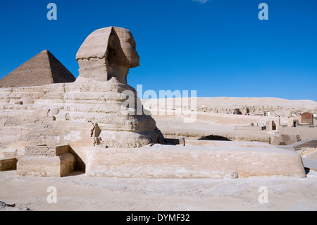 Die Sphinx von Gizeh. Blick von der rechten Seite. Stockfoto