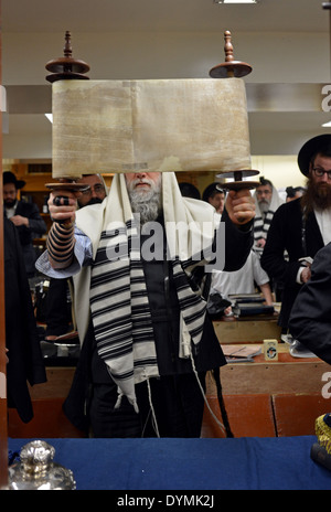 Tora-Rolle wird ausgelöst, nachdem eine Lesung am Wochentag Morgen Dienstleistungen auf eine Synagoge in Brooklyn, New York. Stockfoto