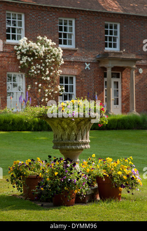 Große Urne und Terrakotta Töpfe gefüllt mit Stiefmütterchen mit Backstein georgianischen Landhaus im Hintergrund Stockfoto