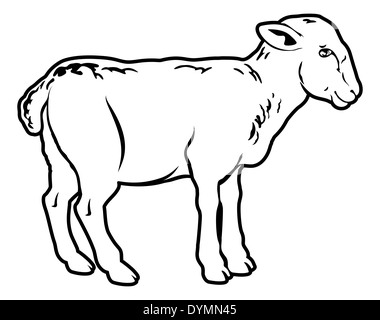 Ein Beispiel für ein Lamm, könnte ein Lebensmittel-Label oder Menü Symbol für Lamm Stockfoto