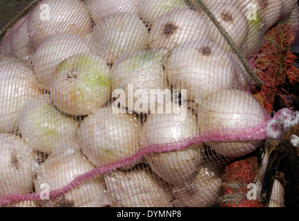 Zwiebeln in der Gemüsemarkt in Almolonga zu verkaufen. San Pedro de Almolonga, Republik Guatemala. Stockfoto
